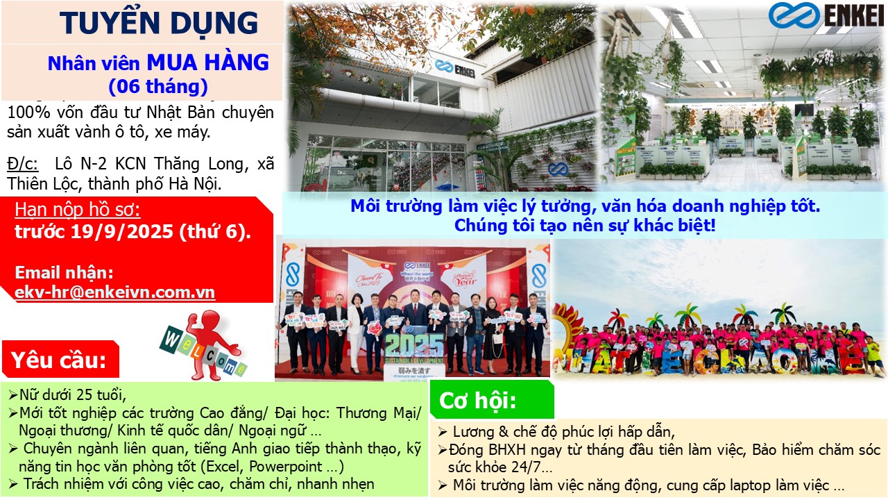 lĩnh vực hoạt động